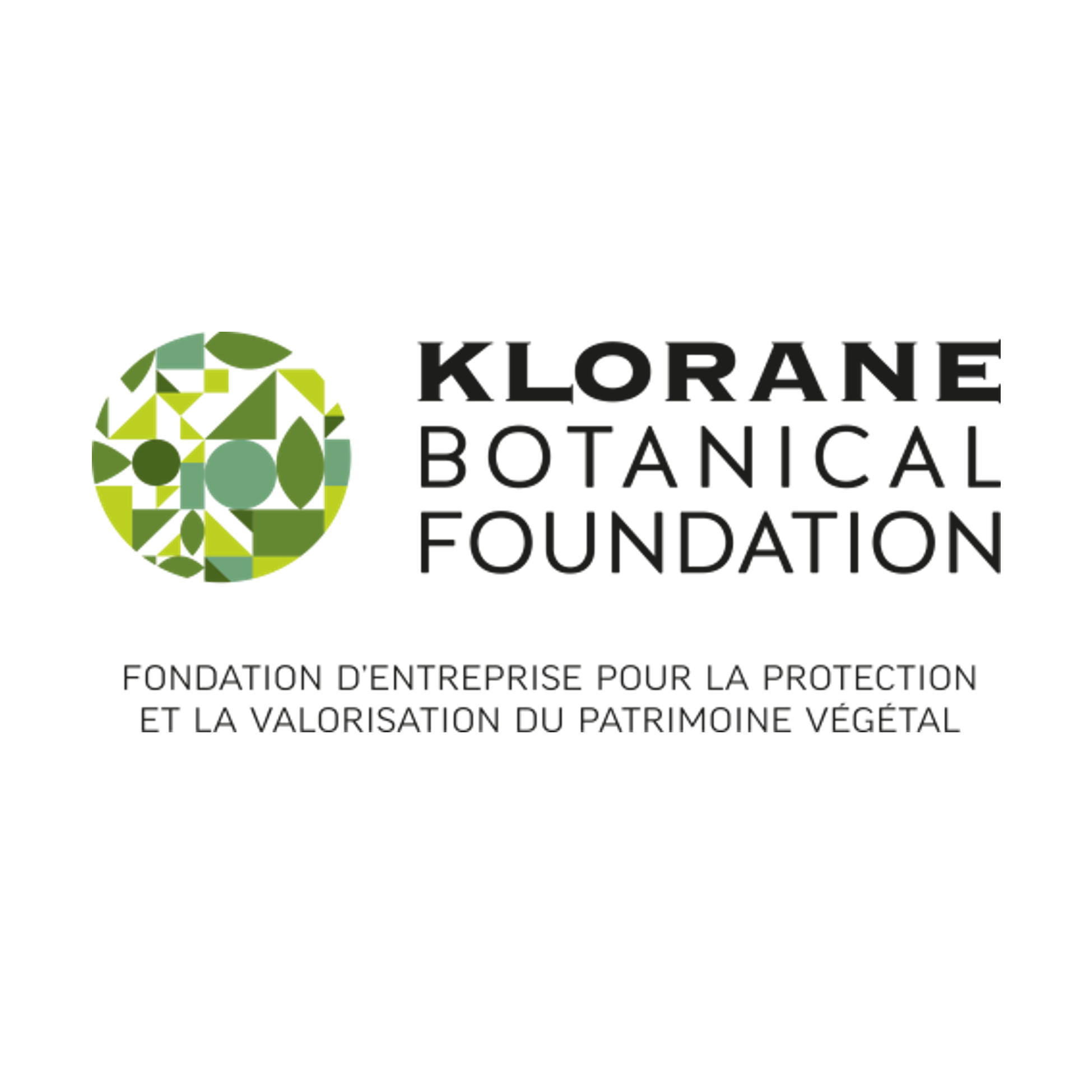 klorane-foundation