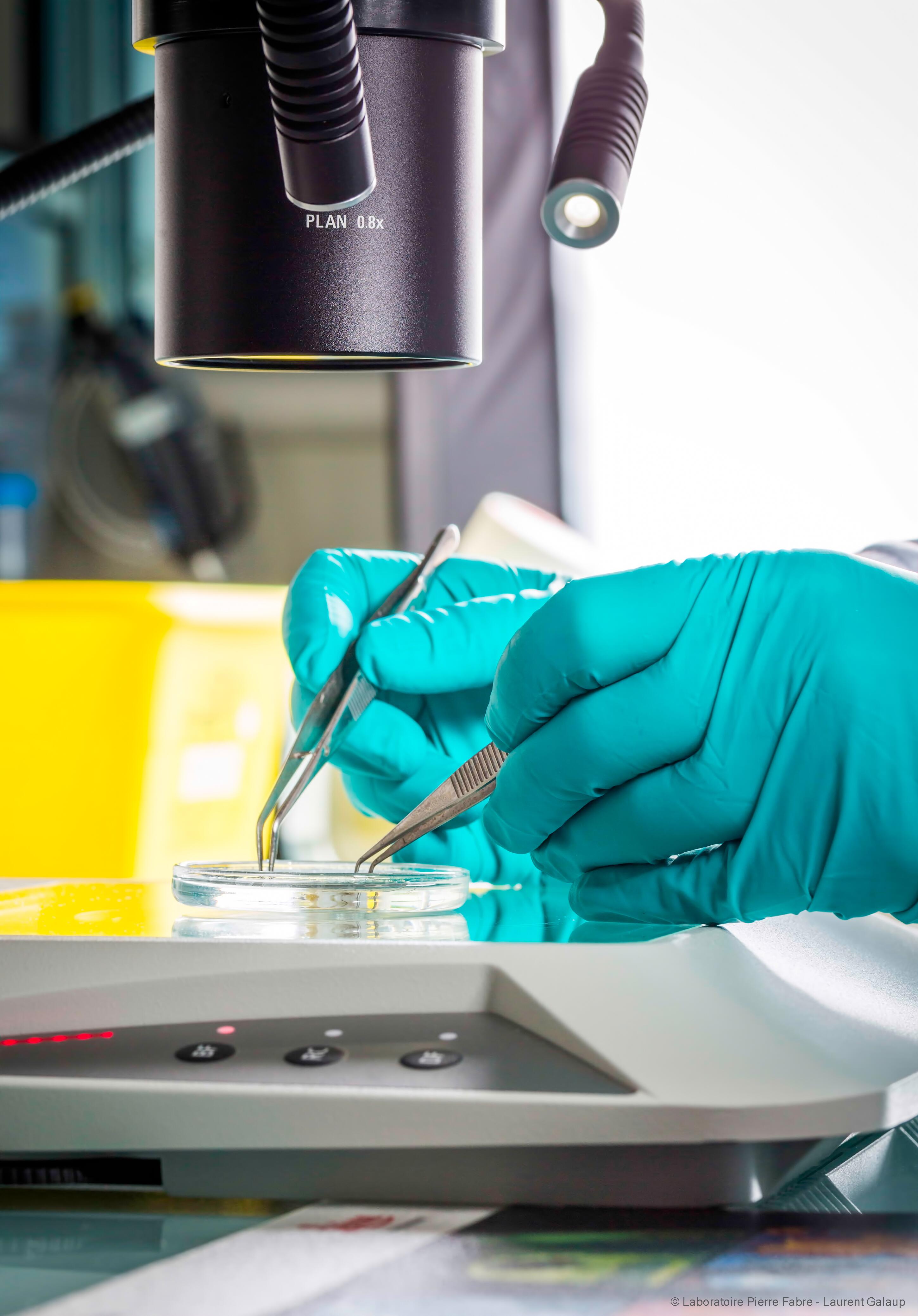 Para productos seguros