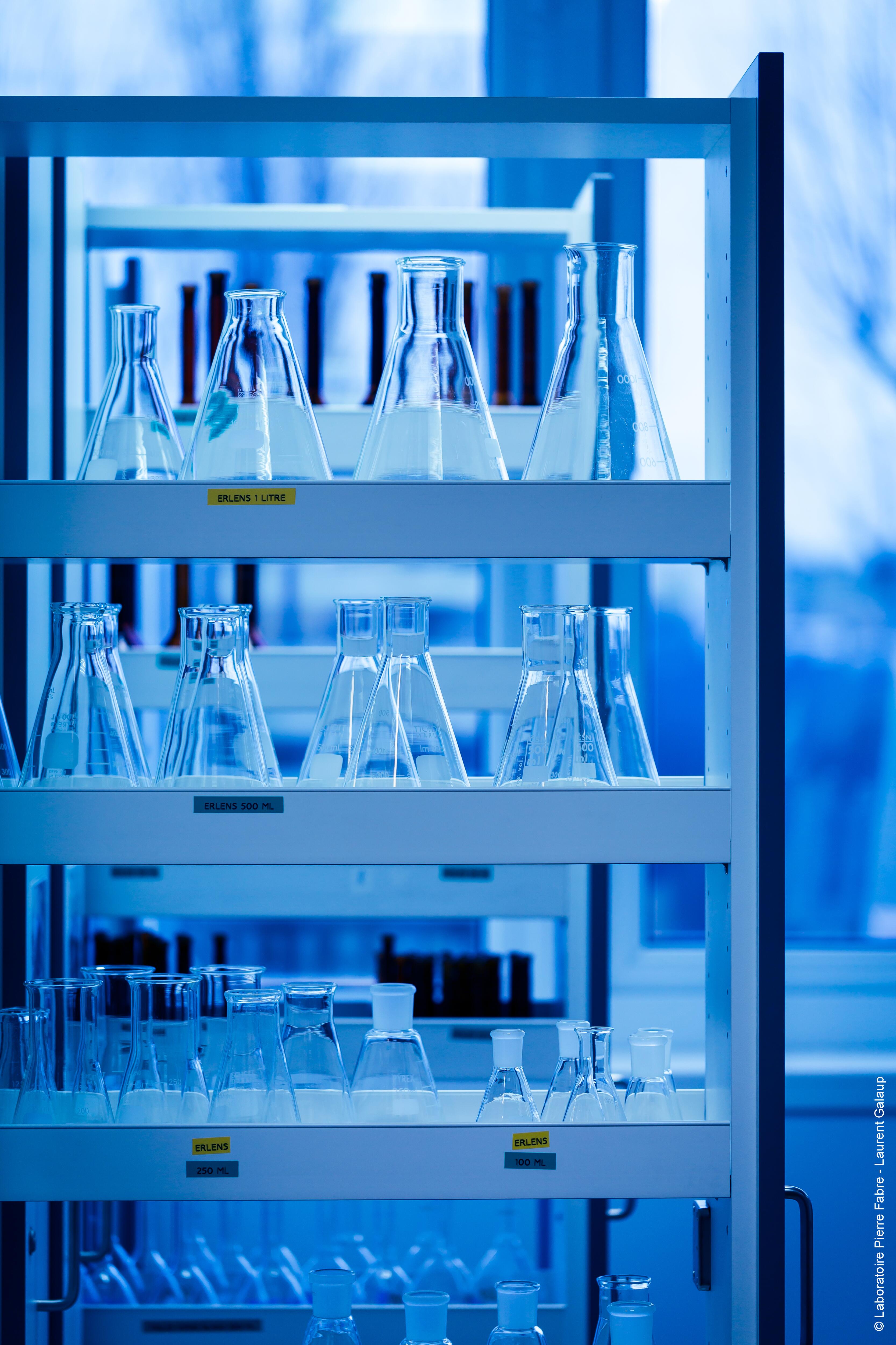 Nuestros ingredientes