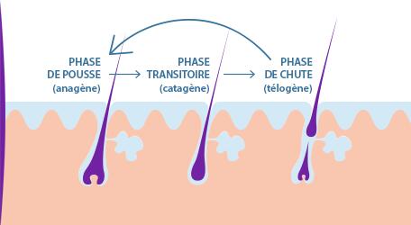Affinement du cheveu : que dois-je faire ? | Ducray