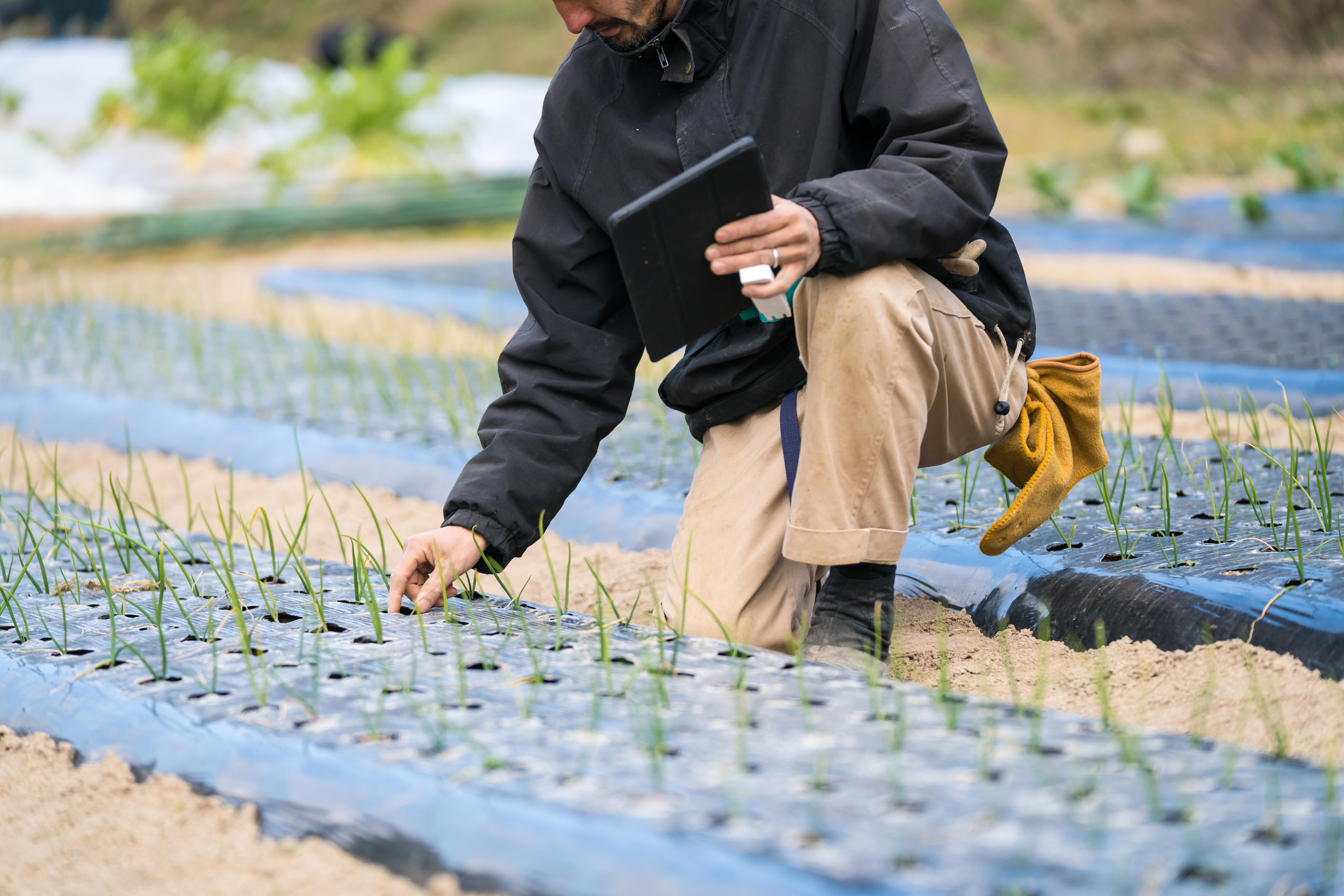 AV_instit_supplier-Stock-898847474-hd