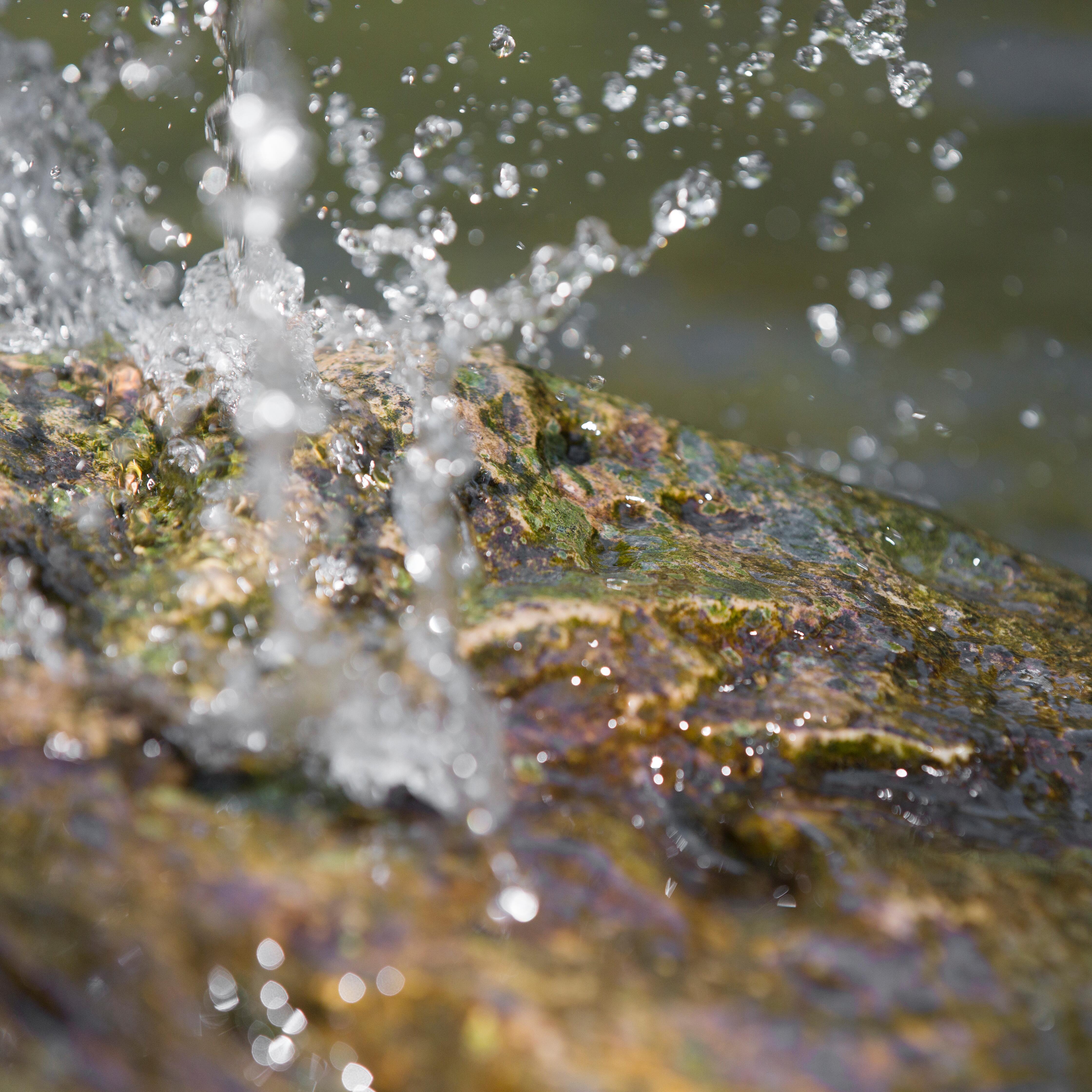 AV_instit-biodiversity-orb-hdrvb-square