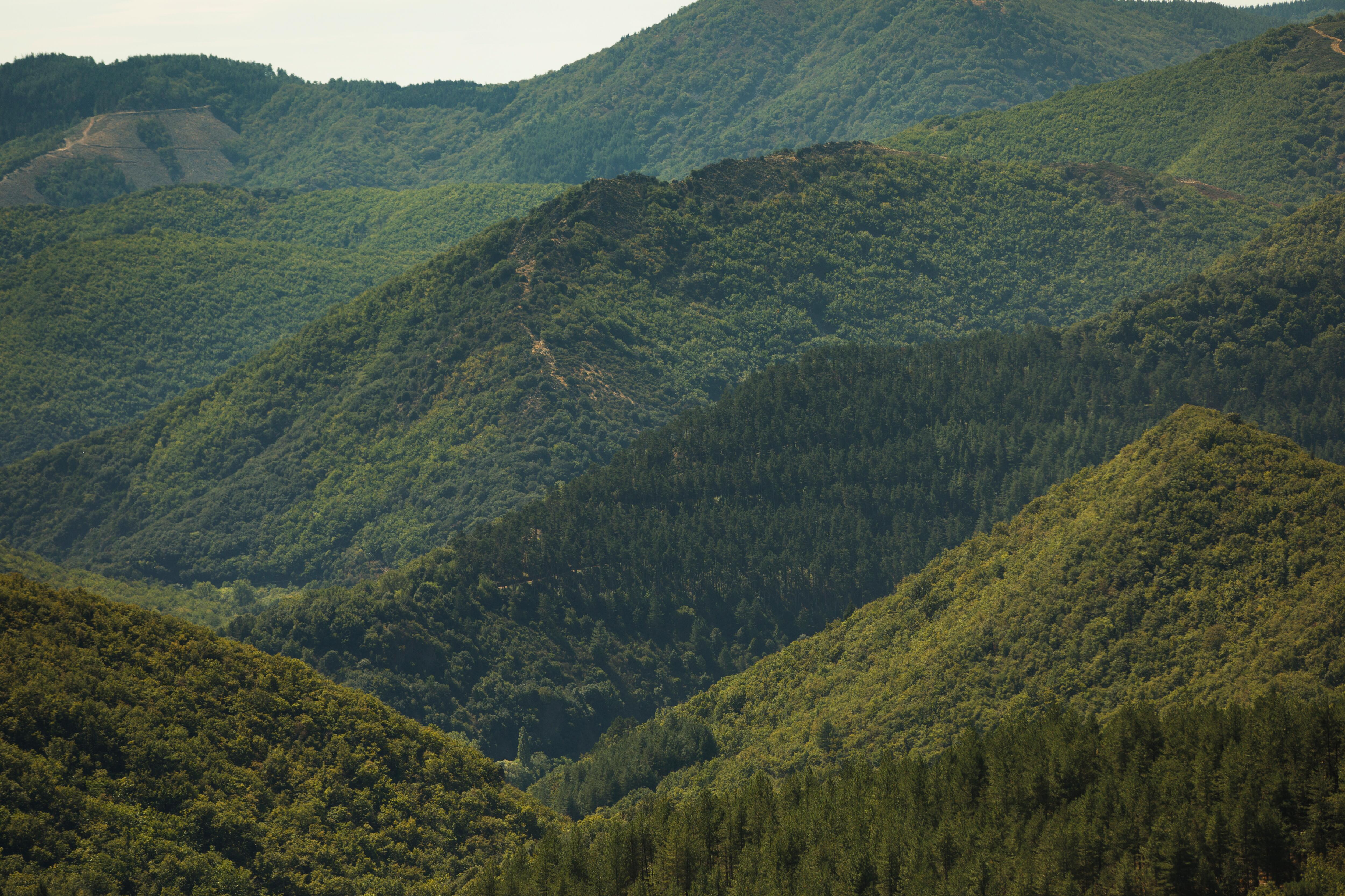 AV_instit-biodiversity-impluvium-hd