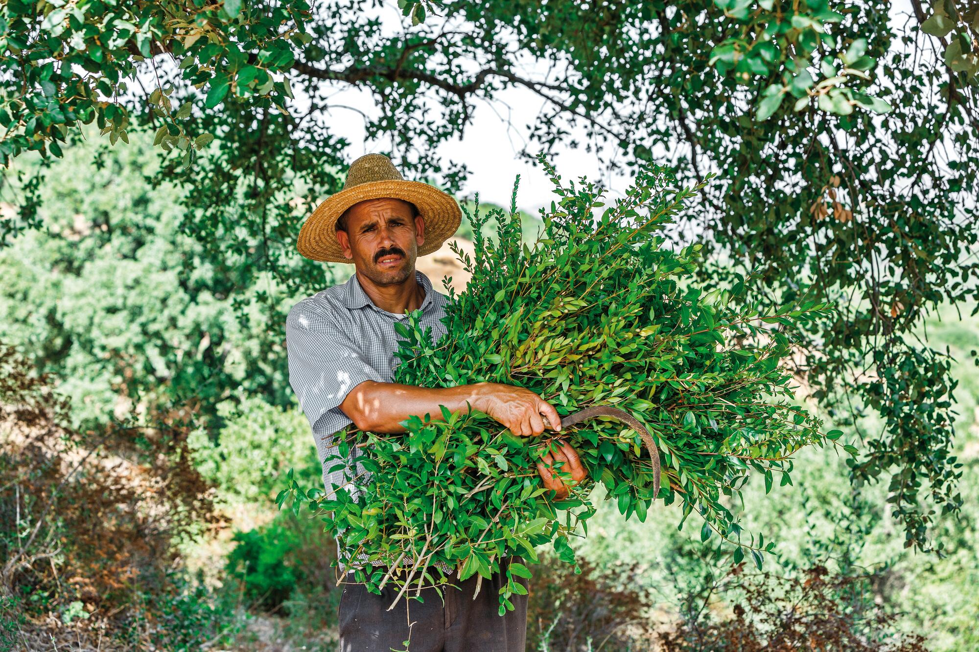 kl_field_man_myrthe_maroc_gmpf_2021