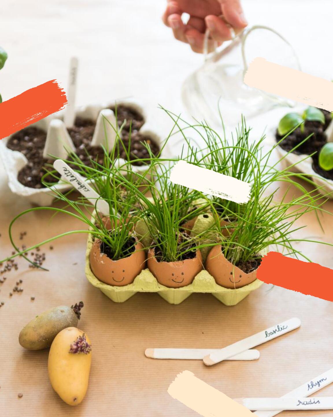 Jardinería en casa con niños