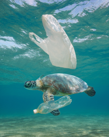 <span class="ezstring-field">kl_mag_conscious-beauty_plastic_visual_push-1</span>