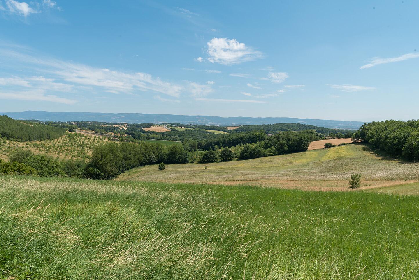 AD_WEBSITE_BRAND-PAGE_DP-VEGETAL-TERRE-AVOINE_CIRCUIT-COURT_2021