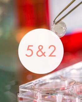 5 edustaa in vitro -tutkimusten määrää ja 2 edustaa rekonstruoidulle iholle tehtyjen tutkimusten määrää.