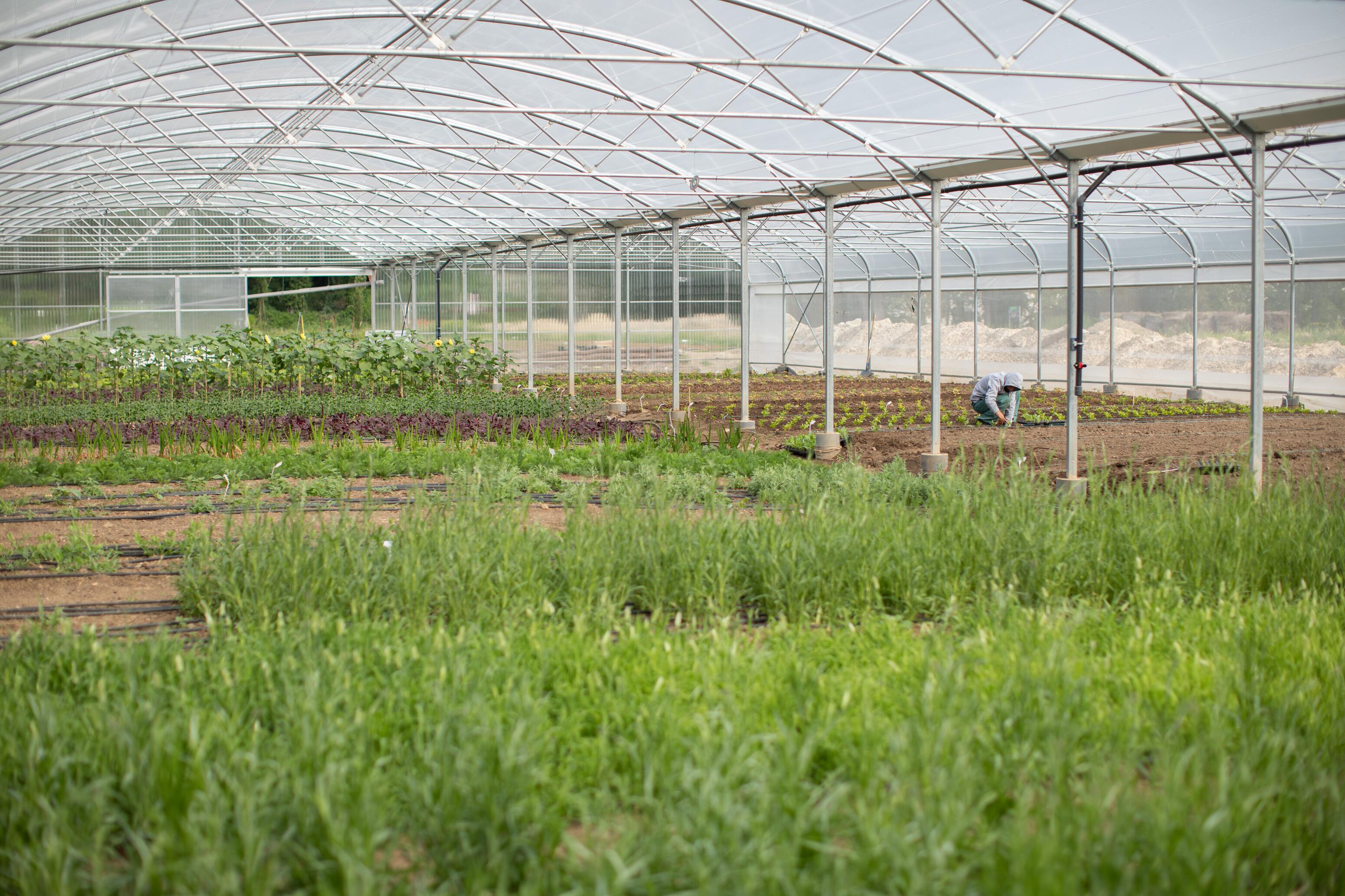 <span class="ezstring-field">kl_mag_change-makers_halage_visual_push-2_fr</span>