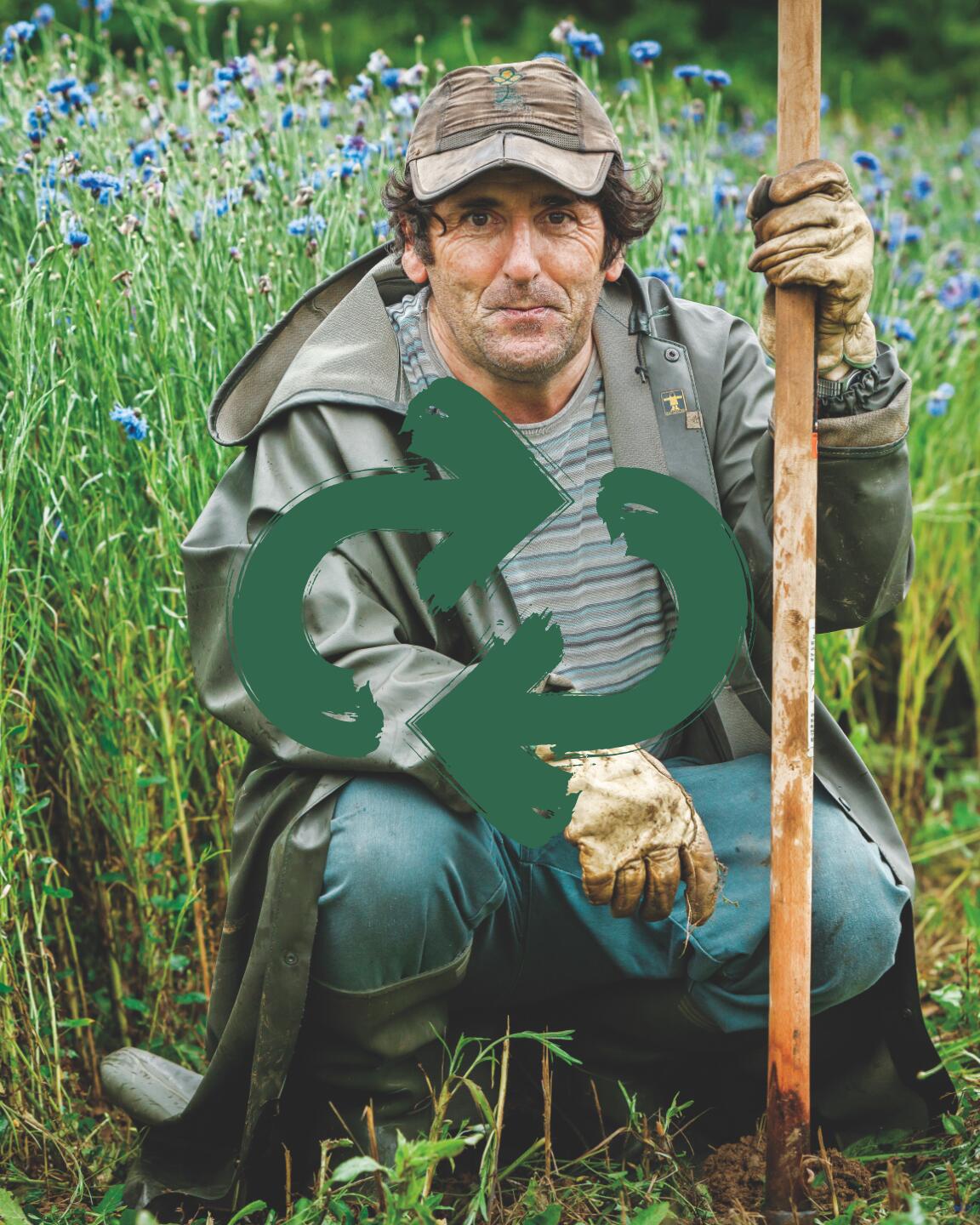 100% Franse korenbloemen, alleen voor uw mooie ogen