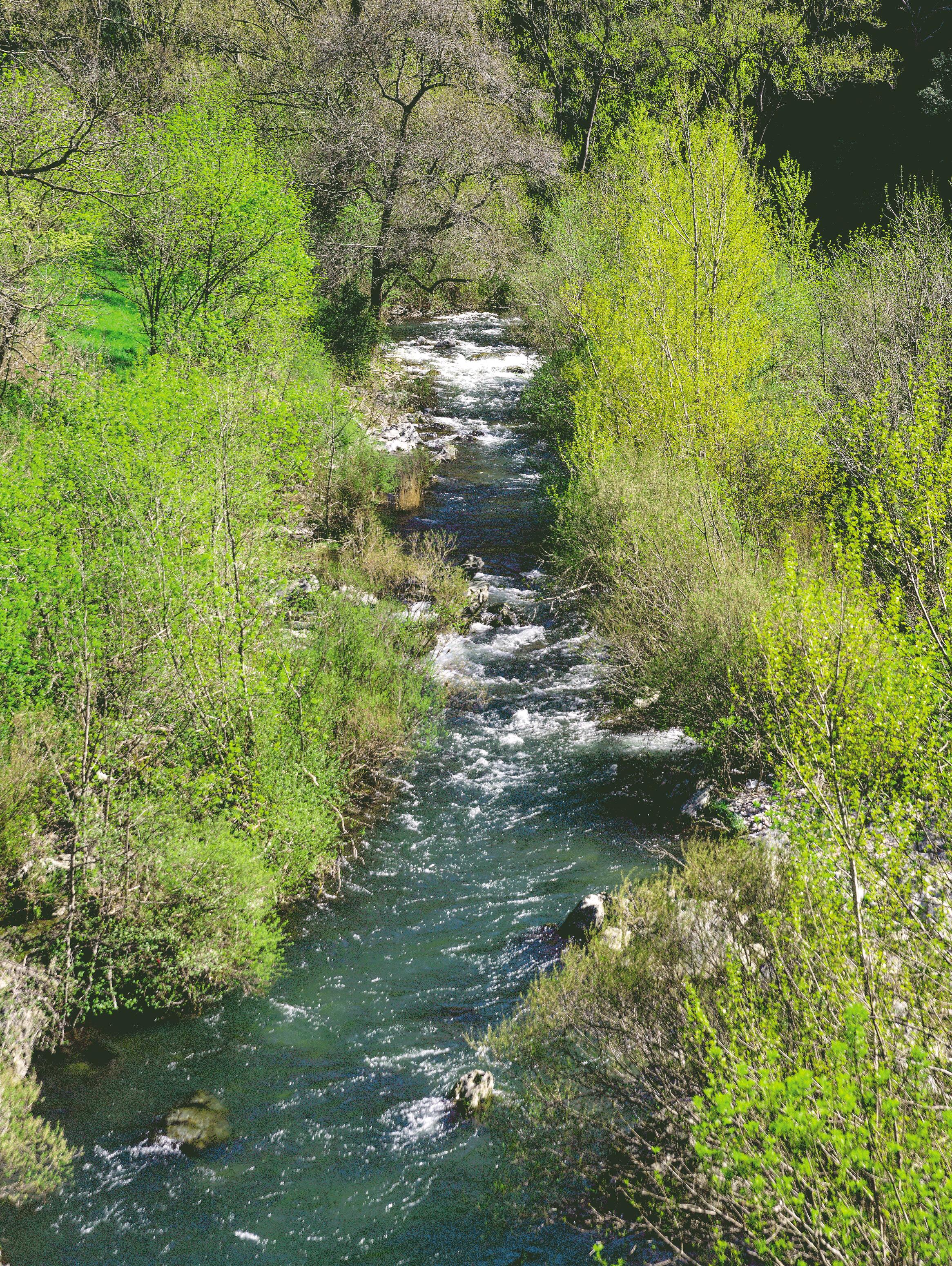 Schutz der Umwelt rund um Avène-les-Bains: