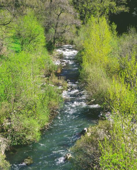 Proteção do ambiente nas redondezas de Avène-les-Bains:
