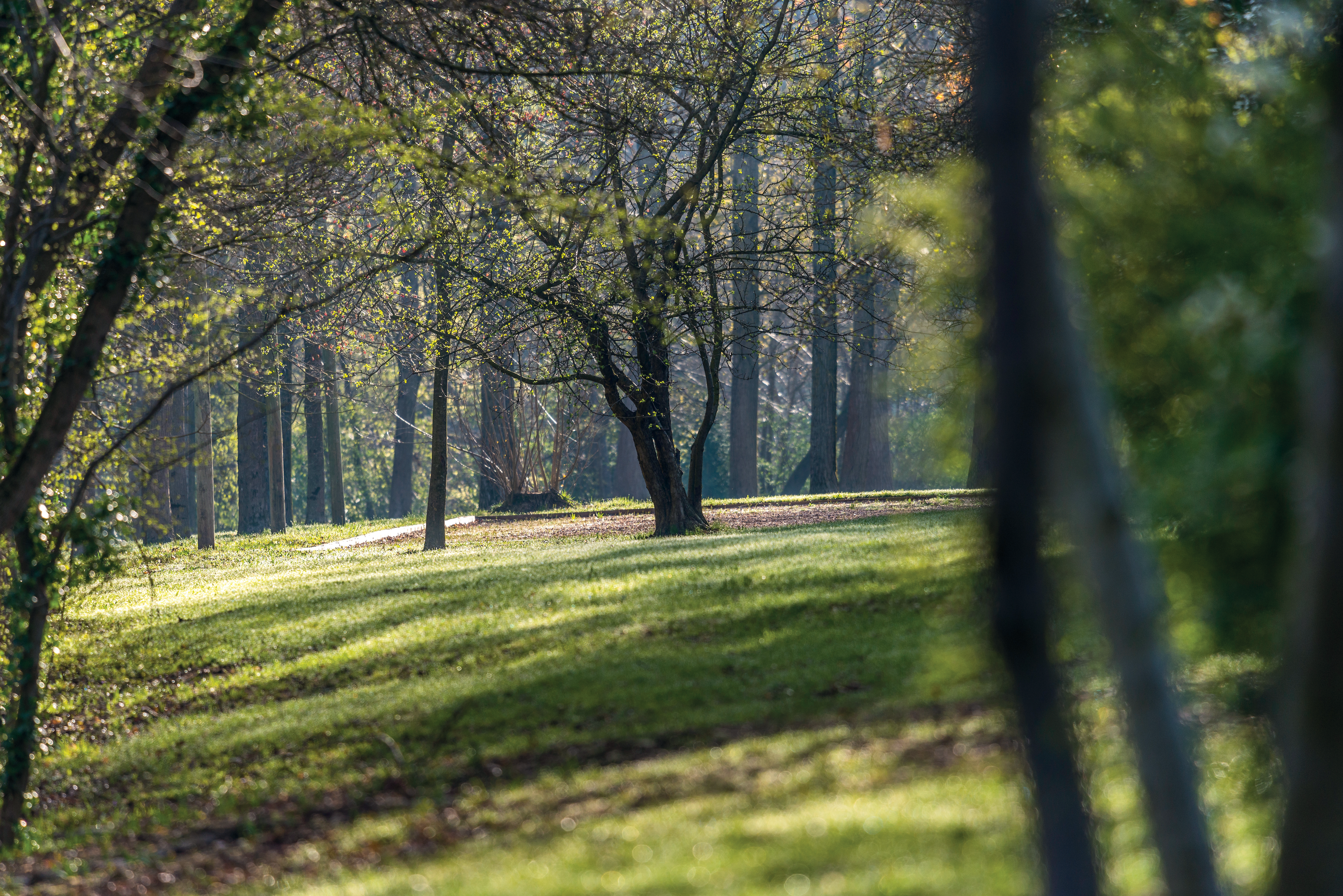 AV_instit_environnement_avene6©studiochevojon