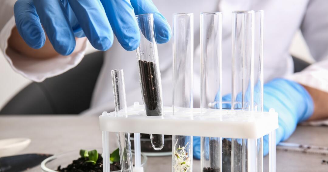 AD_WEBSITE_BRAND-PAGE_HP_MAIN-CHAMPS-AVOINE_2021