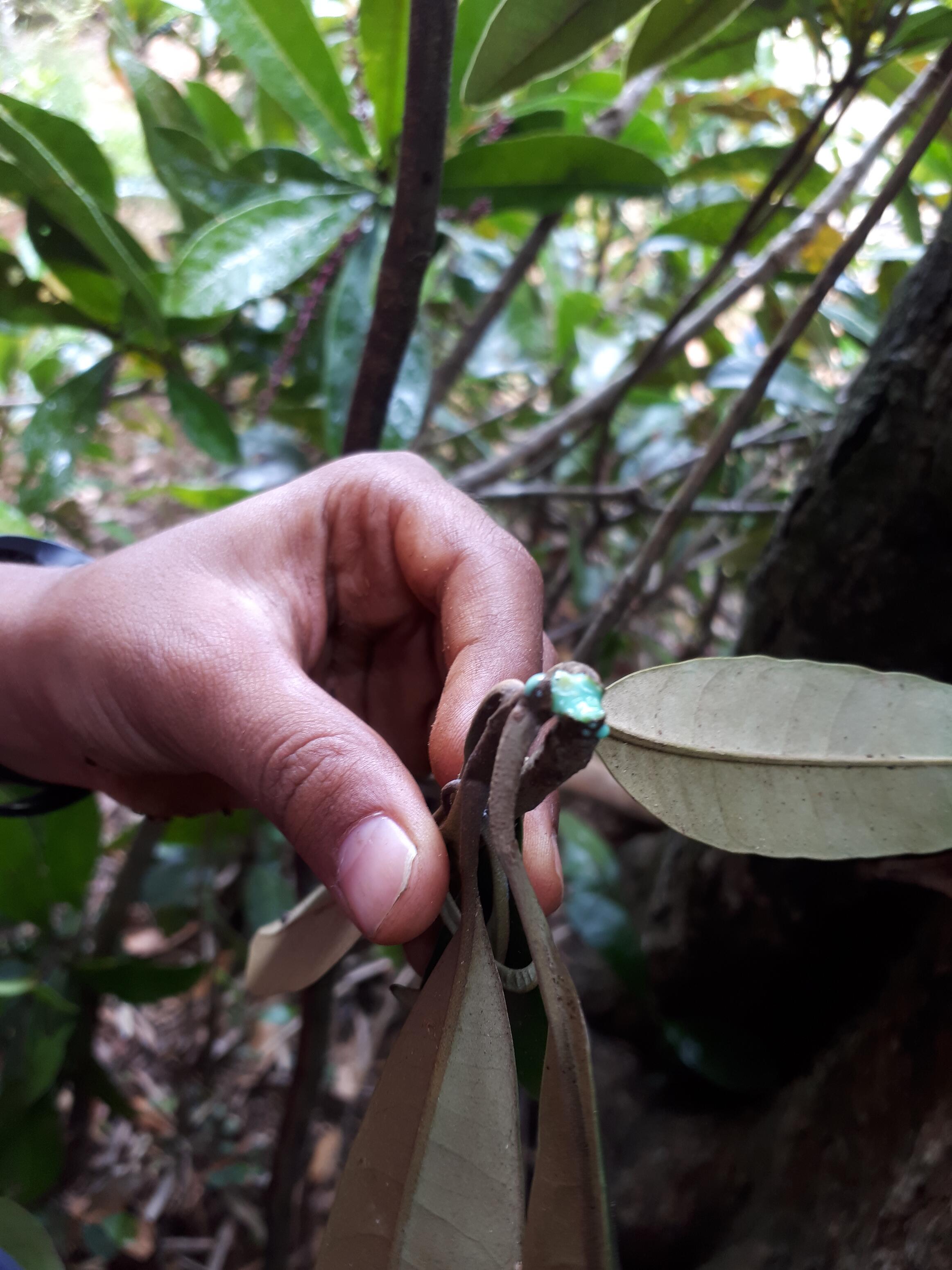 <span class="ezstring-field">kl_mag_change-makers_jv-nouvelle-calédonie_visual_push-3_fr</span>