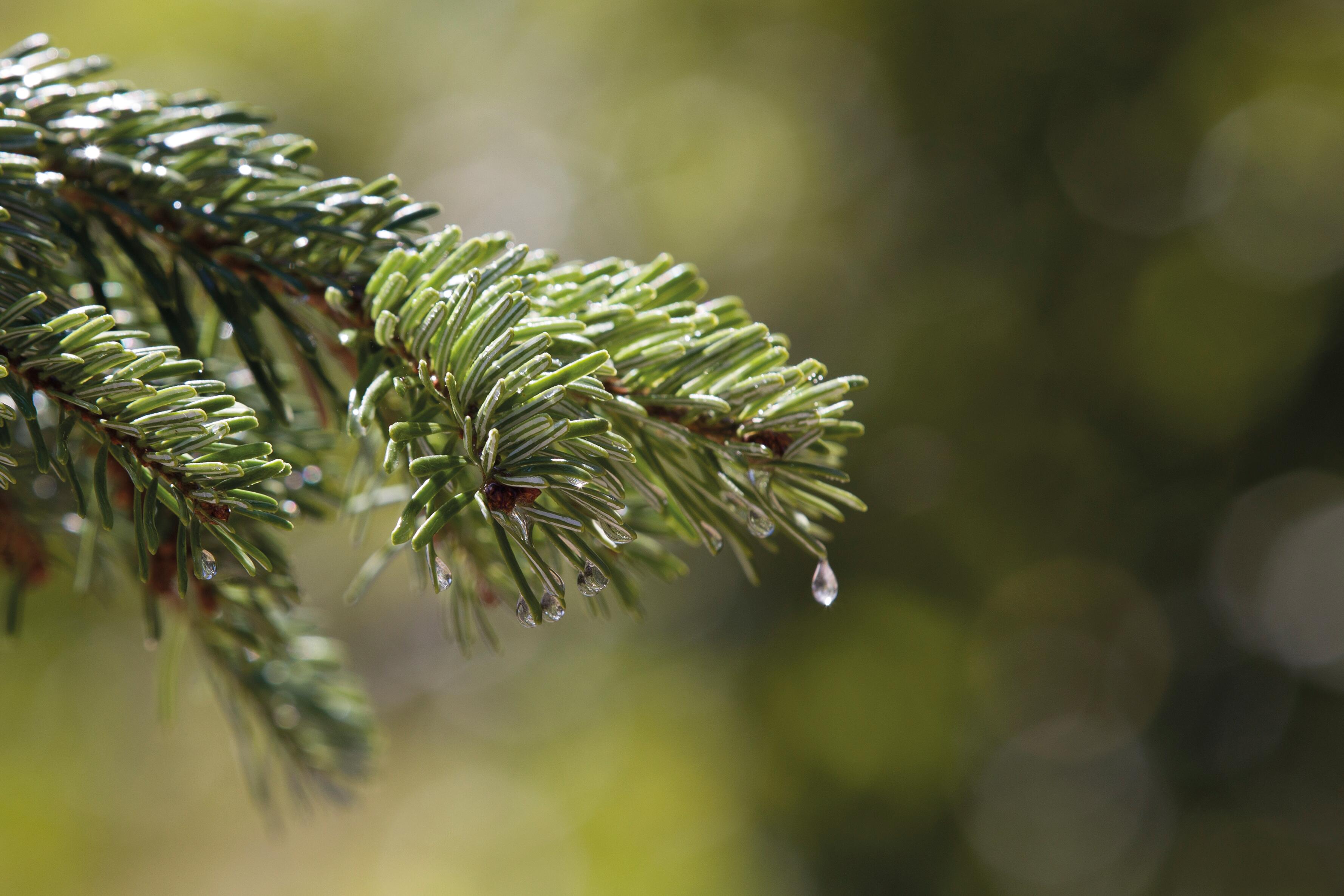 AV_instit-biodiversity-hd