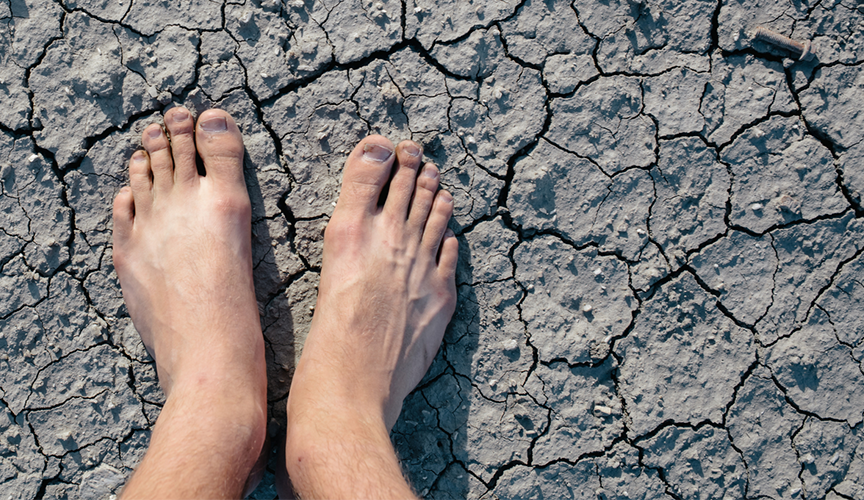 DU_SENSINOL_SILO_JUCKREIZ_FEET_L2_HEADER