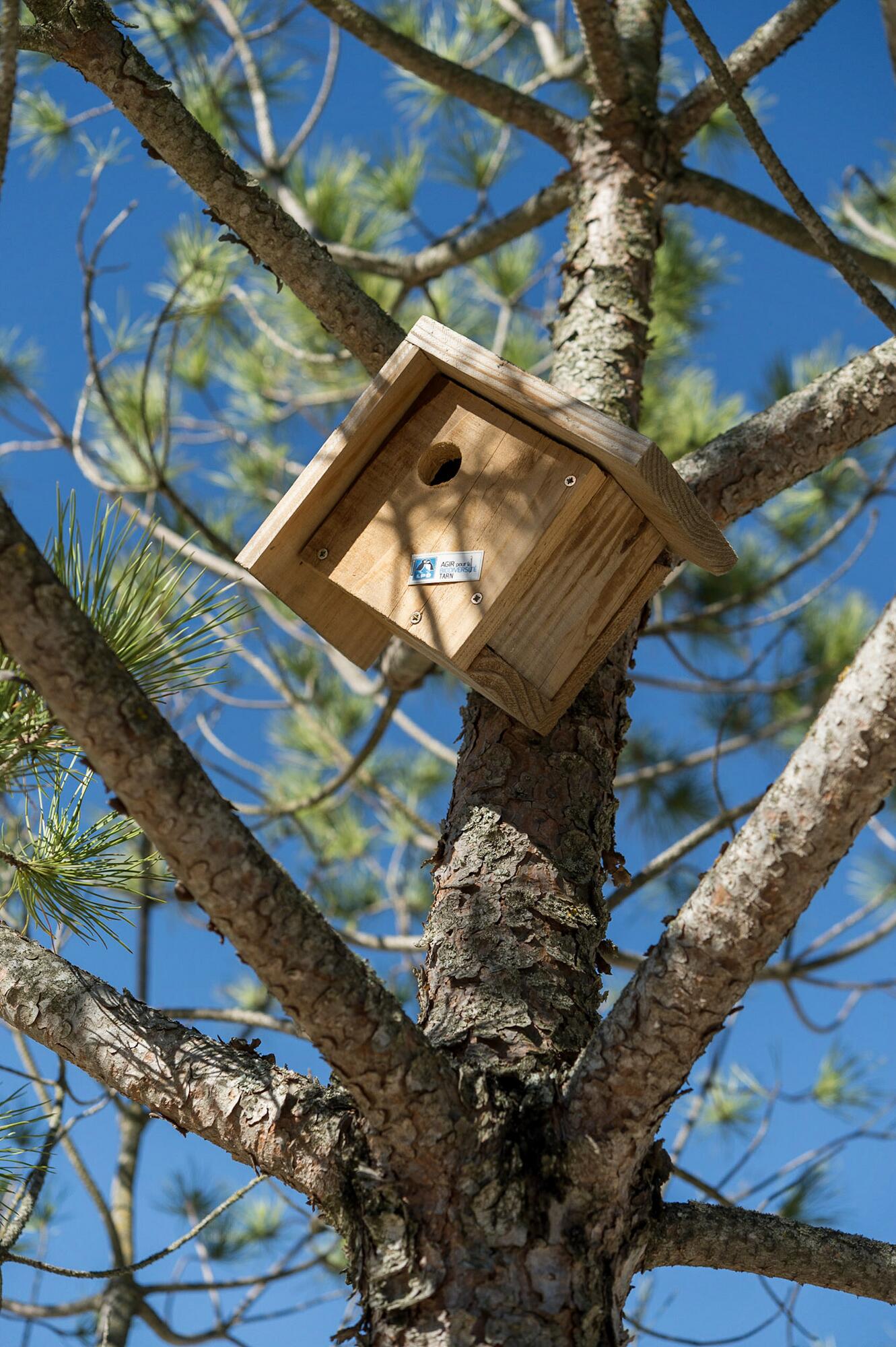 AD_WEBSITE_BRAND-PAGE_DP-VEGETAL-TERRE-AVOINE_MAISON-OISEAUX_2021