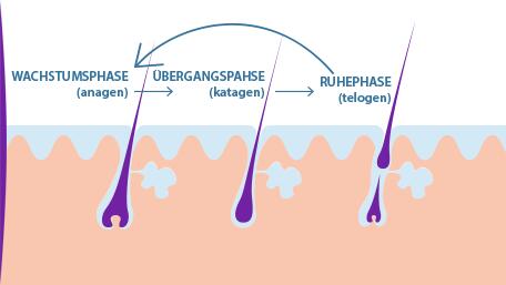 Haarausfall bei Männern | Ducray