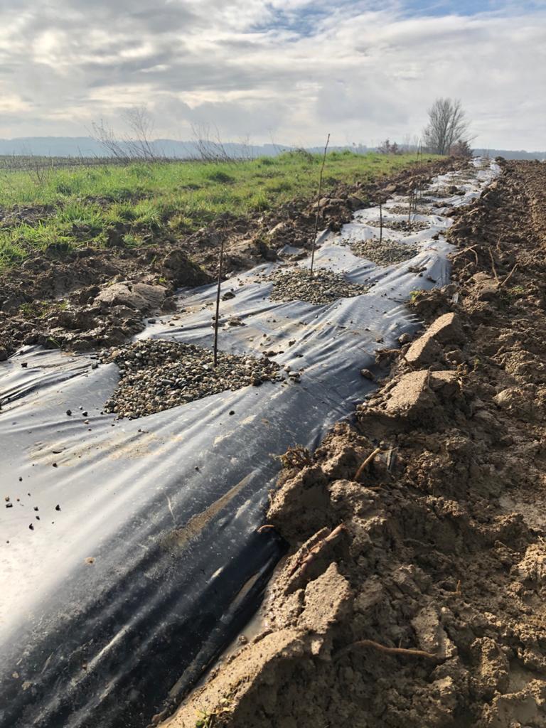 AD_WEBSITE_BRAND-PAGE_GDP-ENGAGEE-NATURE_HAIES_2021