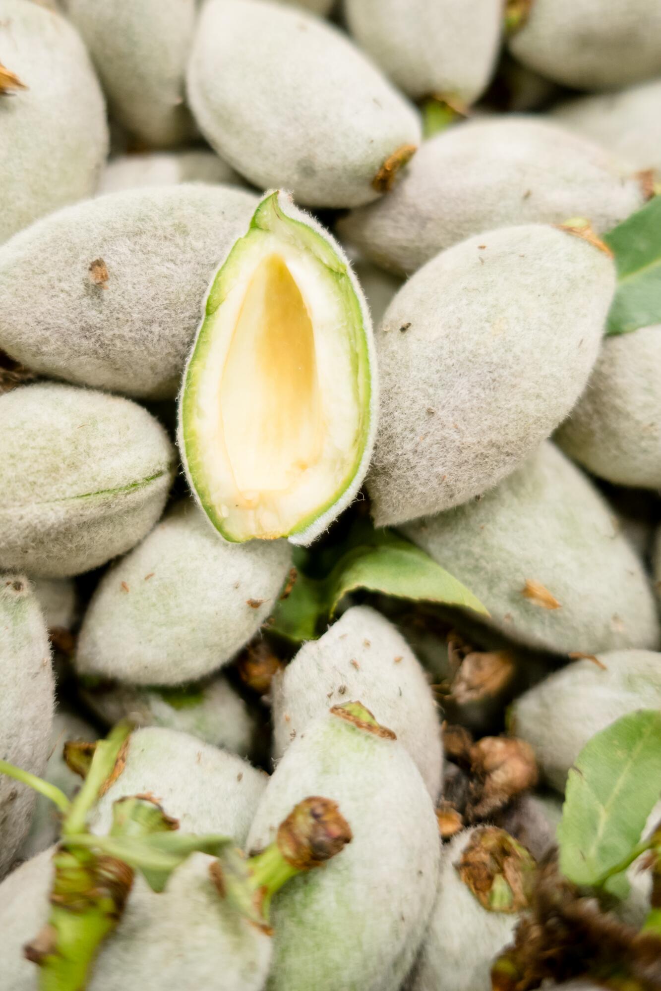 kl_brand-website_edito_17