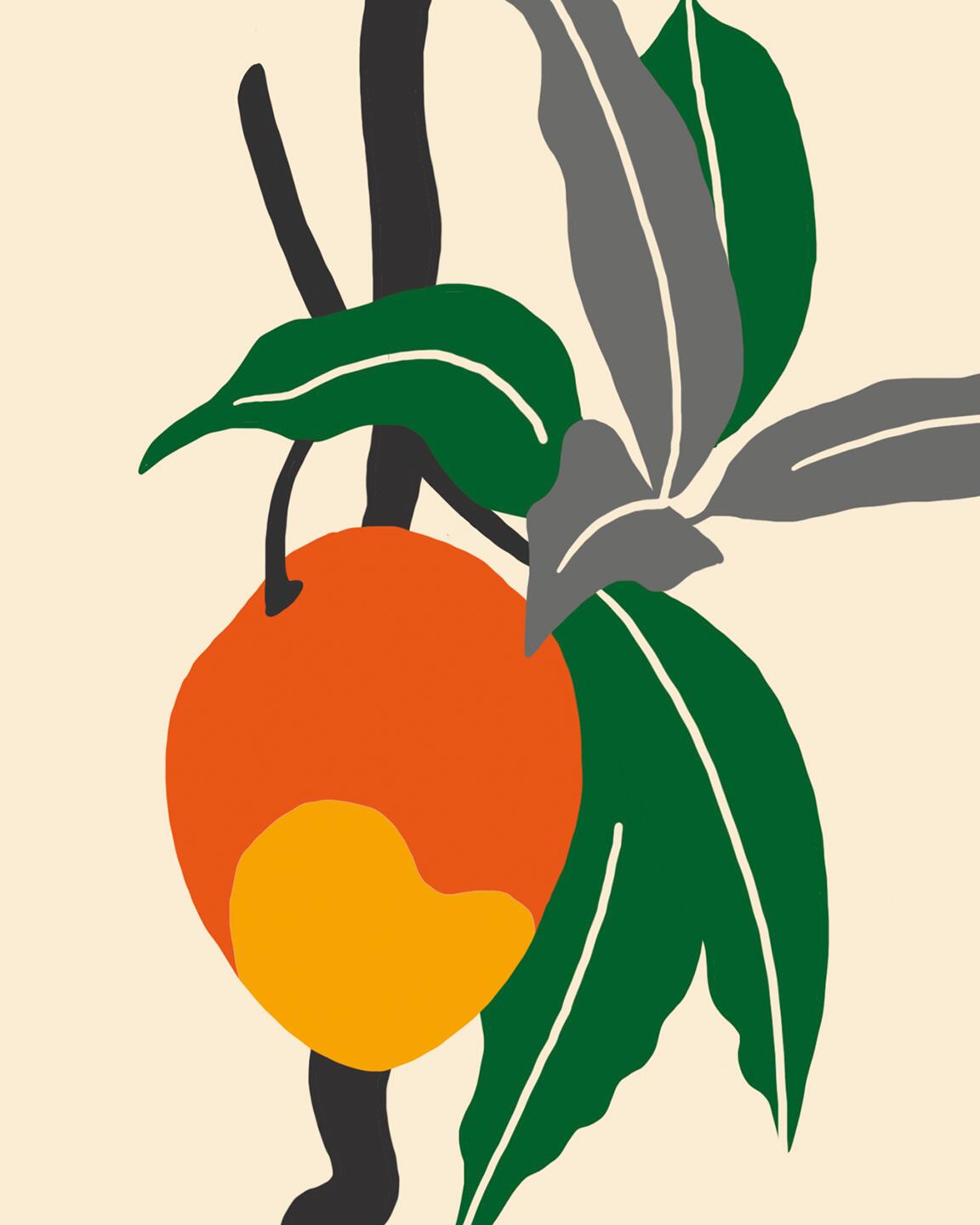 kl_mag_my-herbarium_mangue_push_1152x1440