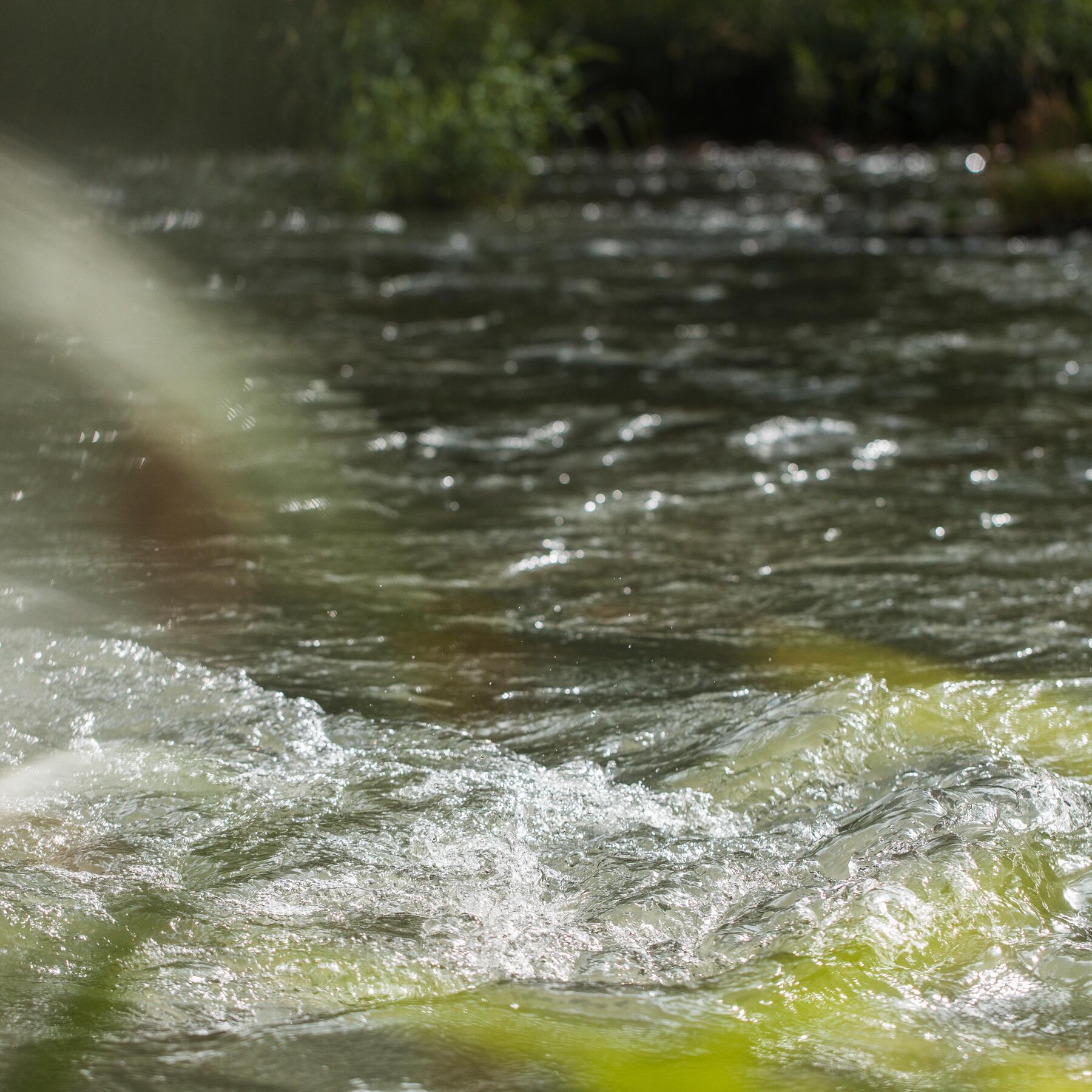 AV_Institutional_Instagram_Post_Quarter3-2018_Surrounding_Low-resolution_3