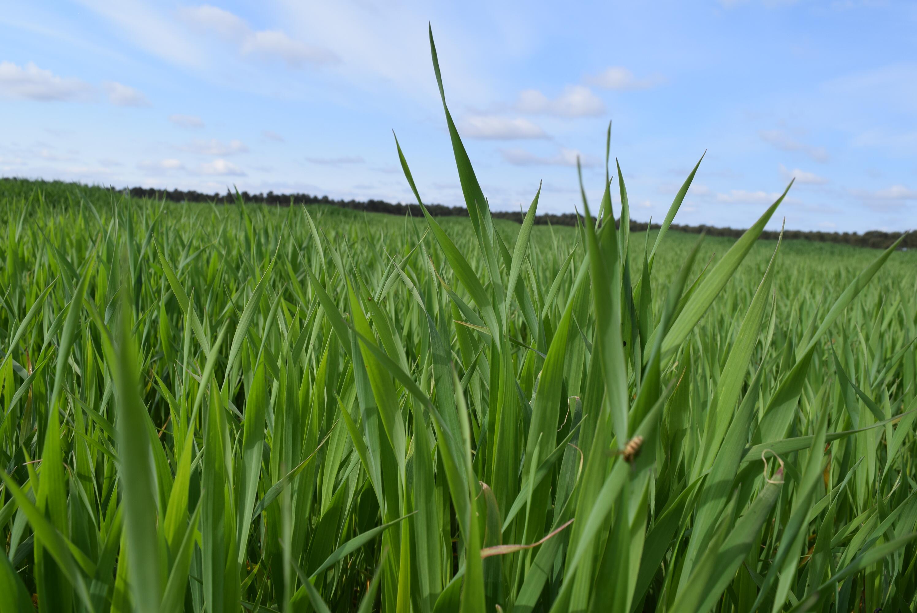 AD_WEBSITE_BRAND-PAGE_GDP-ENGAGEE-NATURE_INDISPENSABLE-GEL-SURGRAS_2021