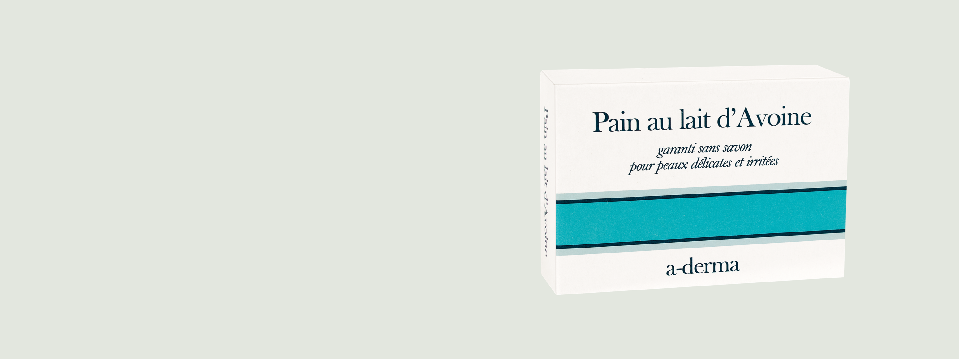 AD_WEBSITE_BRAND-PAGE_DP-HISTOIRE_COVER-PAIN-AVOINE_REVISION-DESKTOP_2021