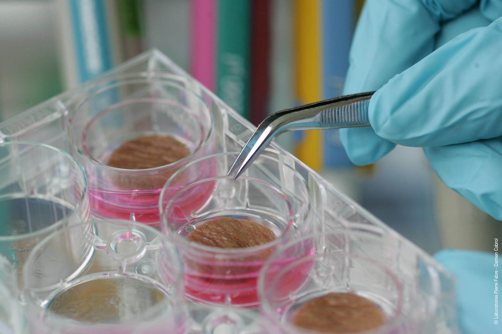 AD_WEBSITE_BRAND-PAGE_GDP-DTO-ERT_TEST-DTO_2021