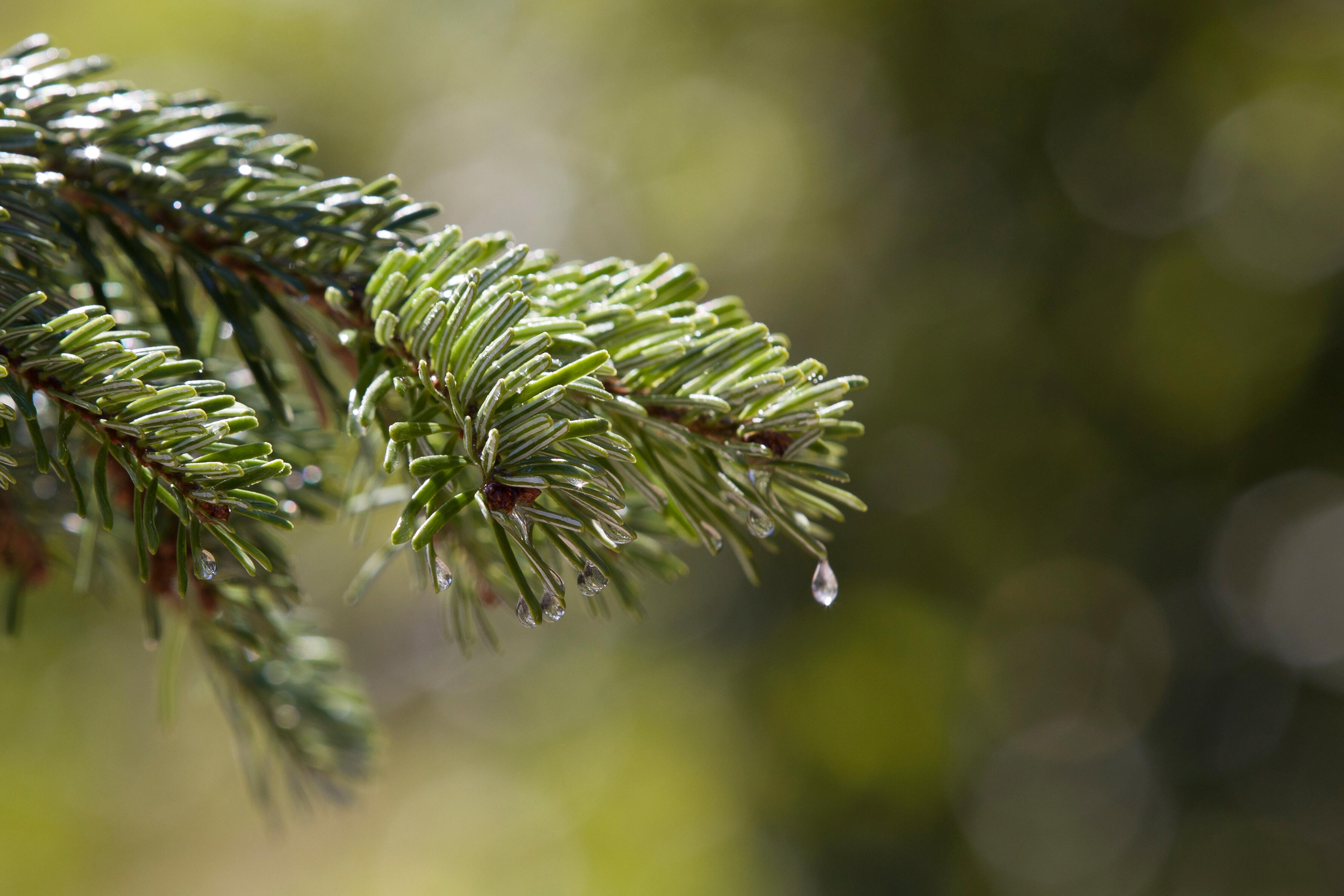 AV_instit-biodiversity-hdrvb