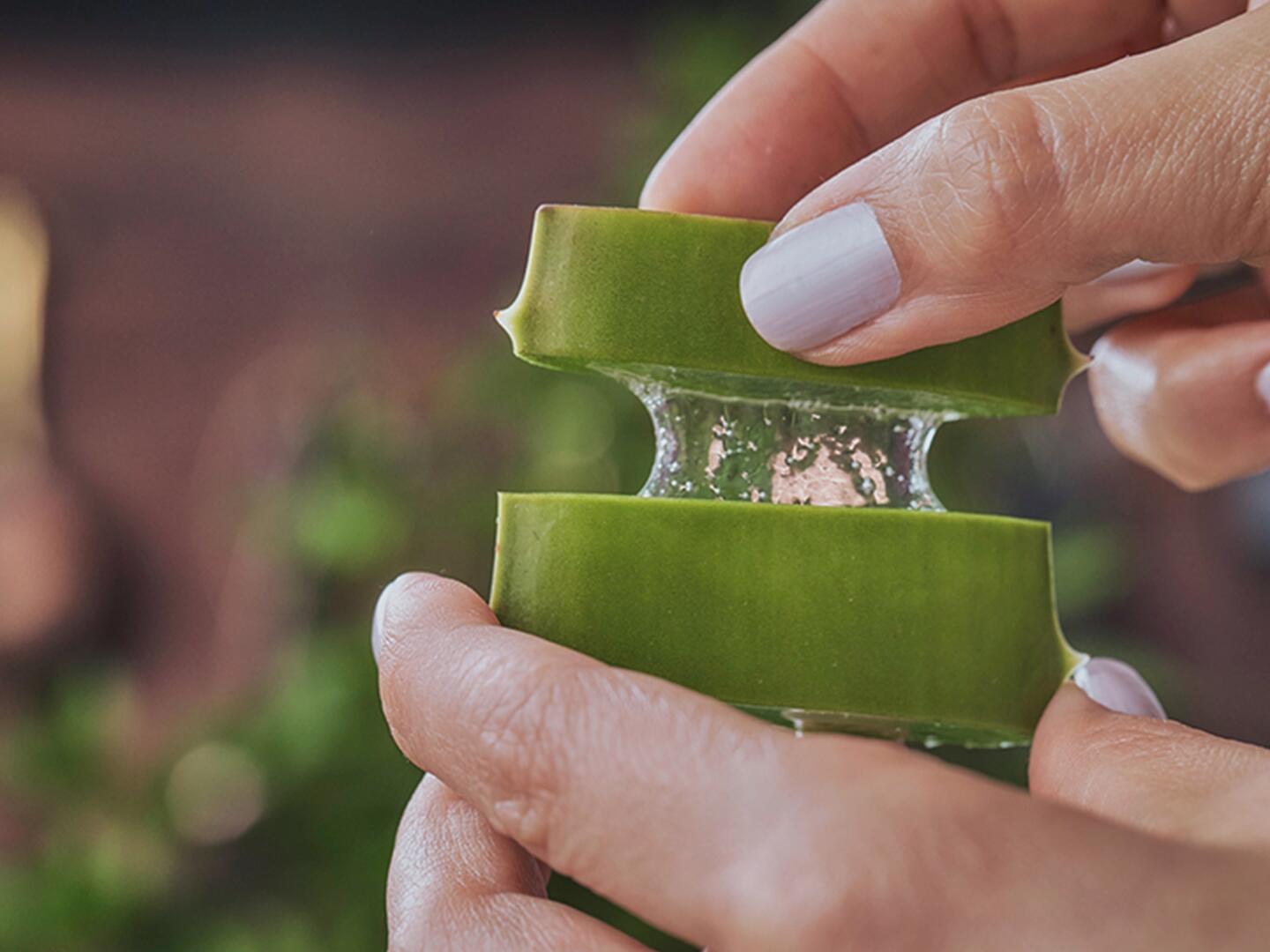 09_Seborrhoisches_Ekzem_Hausmittel_DU_Seborrhoisches_Ekzem_Hausmittel_textmodul1-png