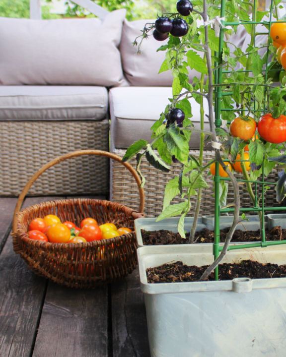 kl_mag_lets-do-it_potager_visual_push-3