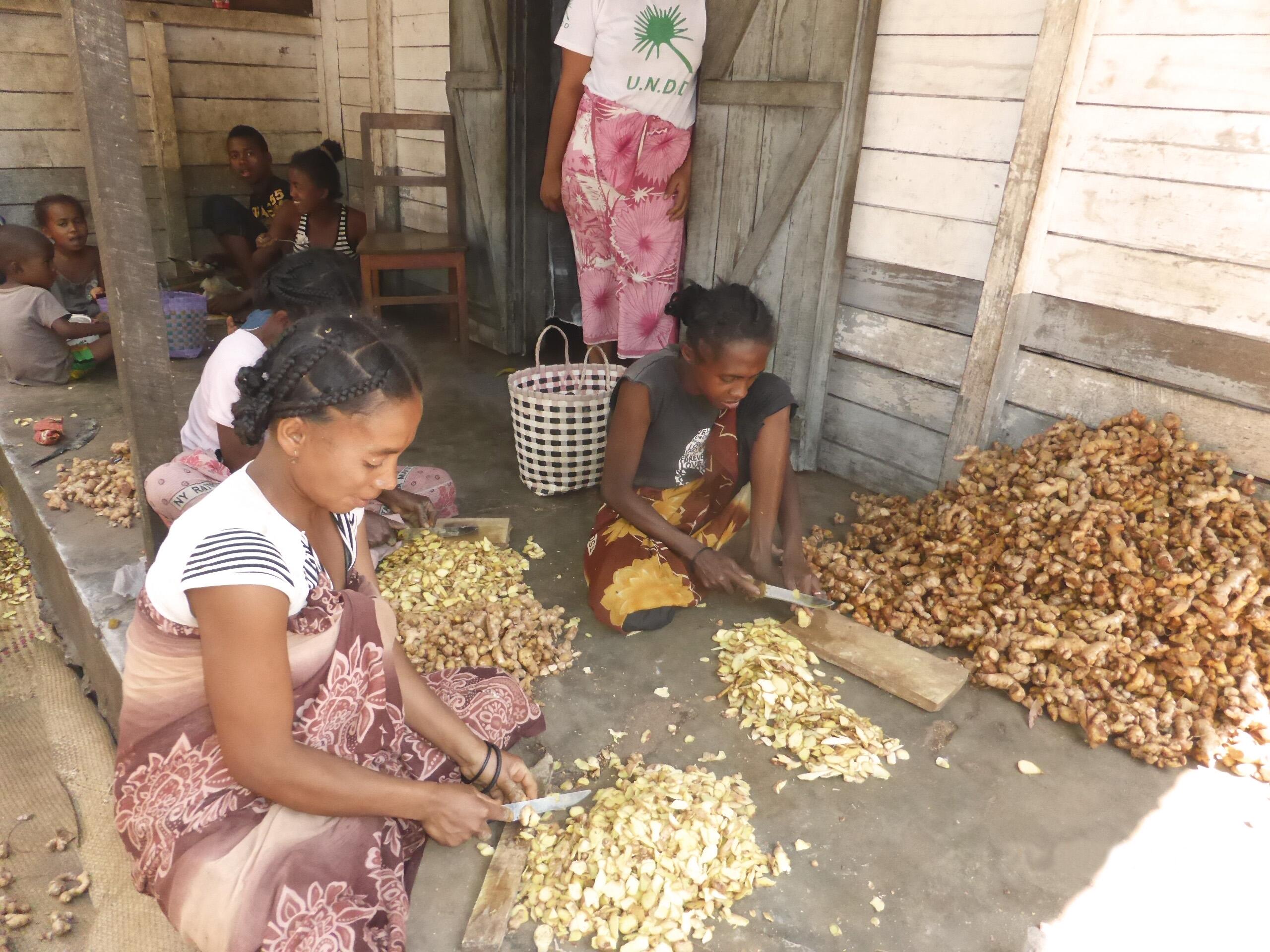 rf_filière_gingembre-sauvage_header