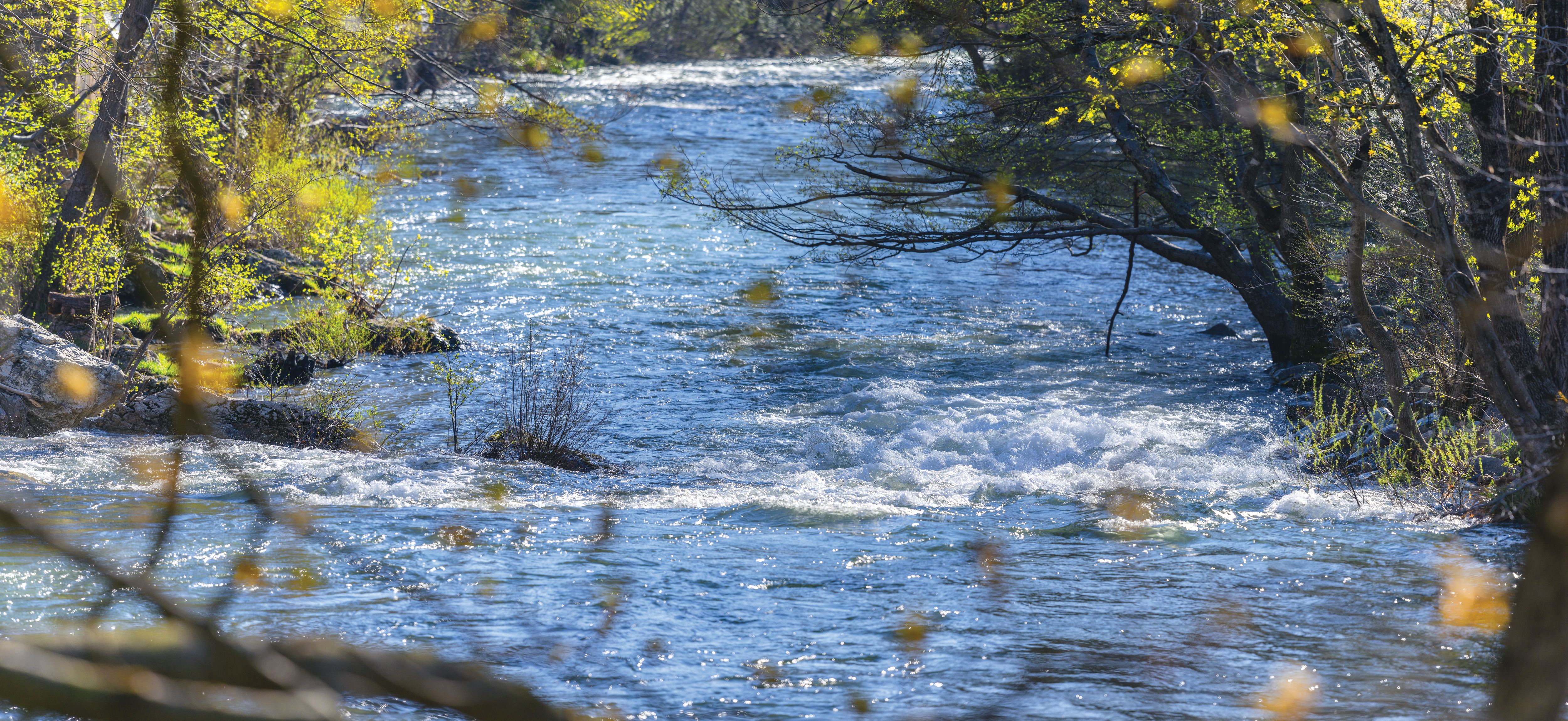 AV_instit_environnement_avene7©studiochevojon