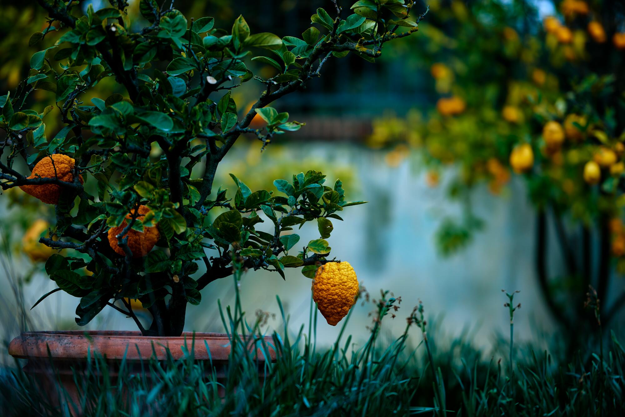 <span class="ezstring-field">kl_brand-website_edito_18 367x460</span>