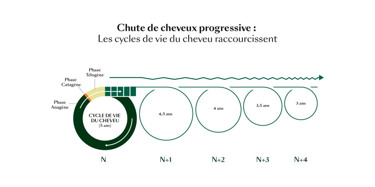 rf-cycle-de-vie-du-cheveu_chute-progressive