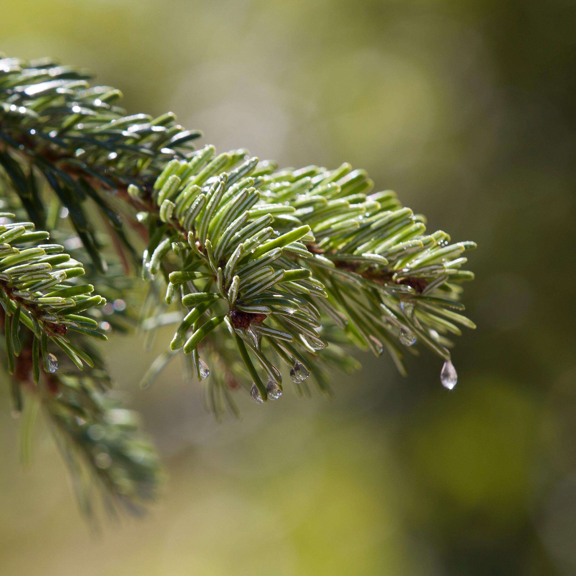 av_instit-biodiversity-hdrvb-square