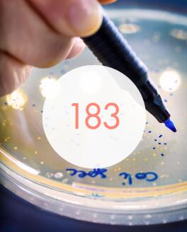 183 je broj studija, mikrobioloških, fizikalno-kemijskih, kompatibilnosti i stabilnosti.
