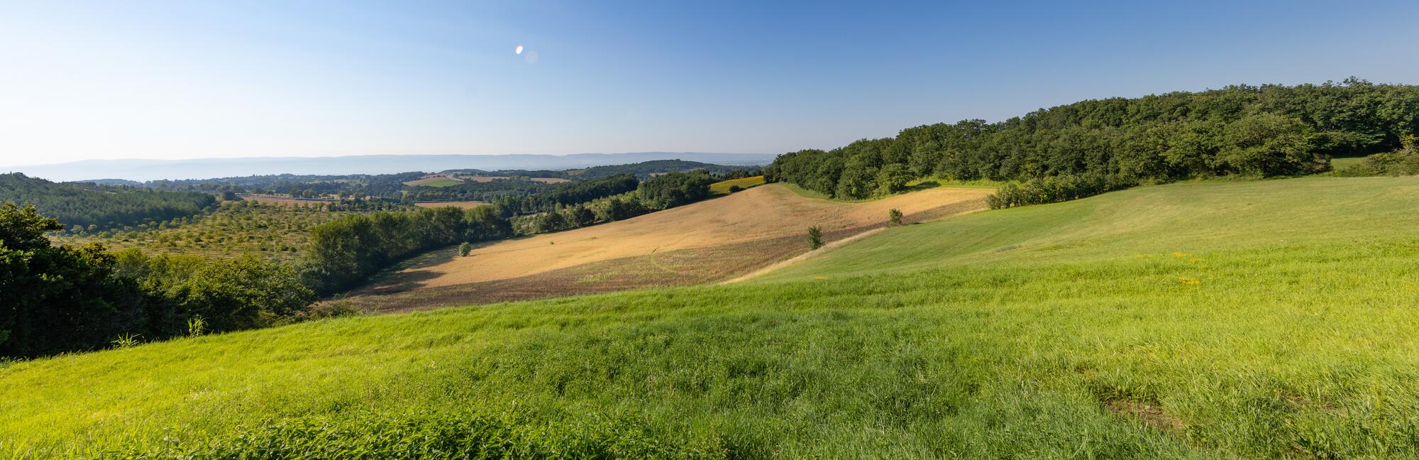 AD_WEBSITE_BRAND-PAGE_MP_SEMIS-AVOINE_2021