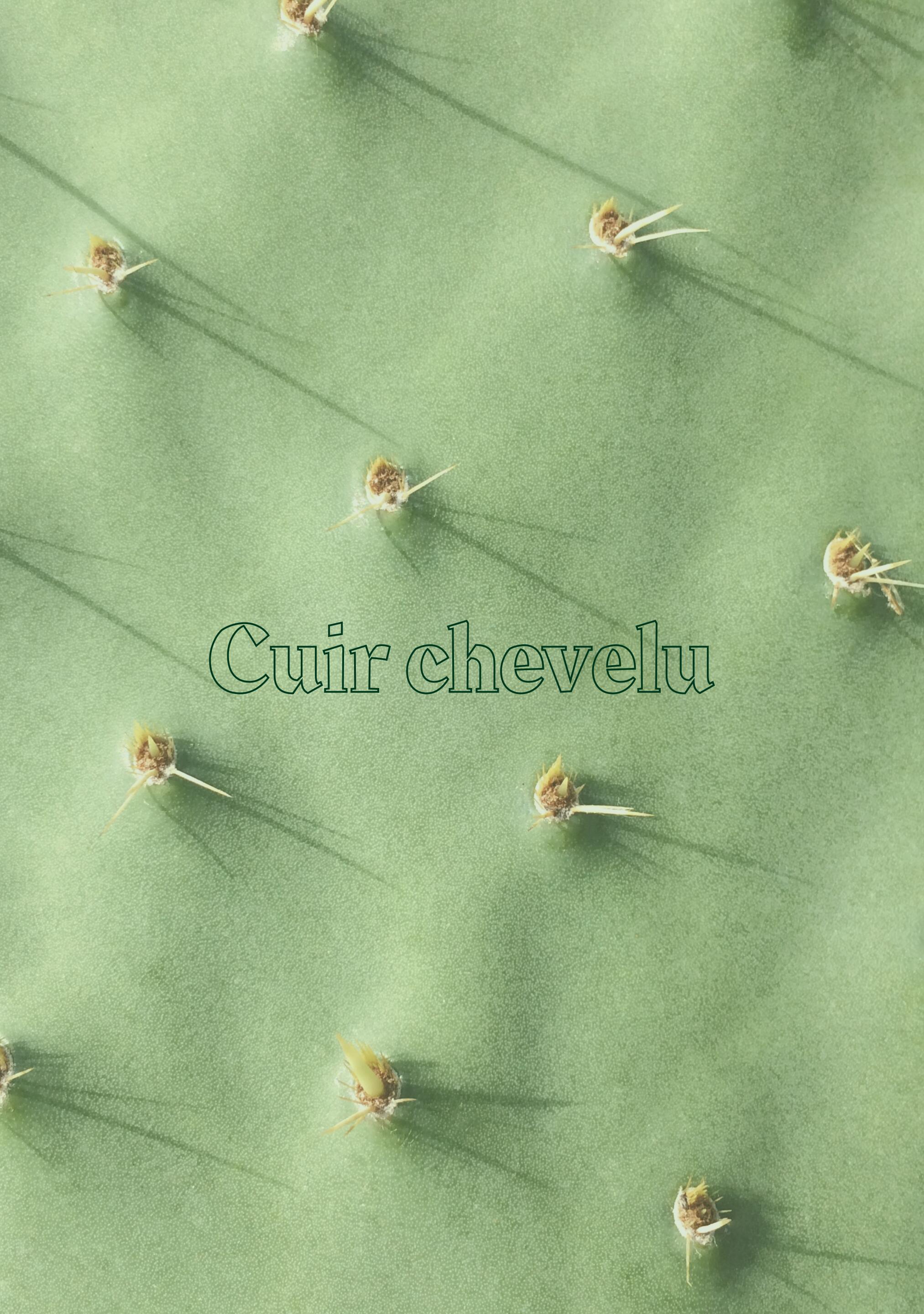 rf_mag_hd_cuir_chevelu_principal_visual_4-5