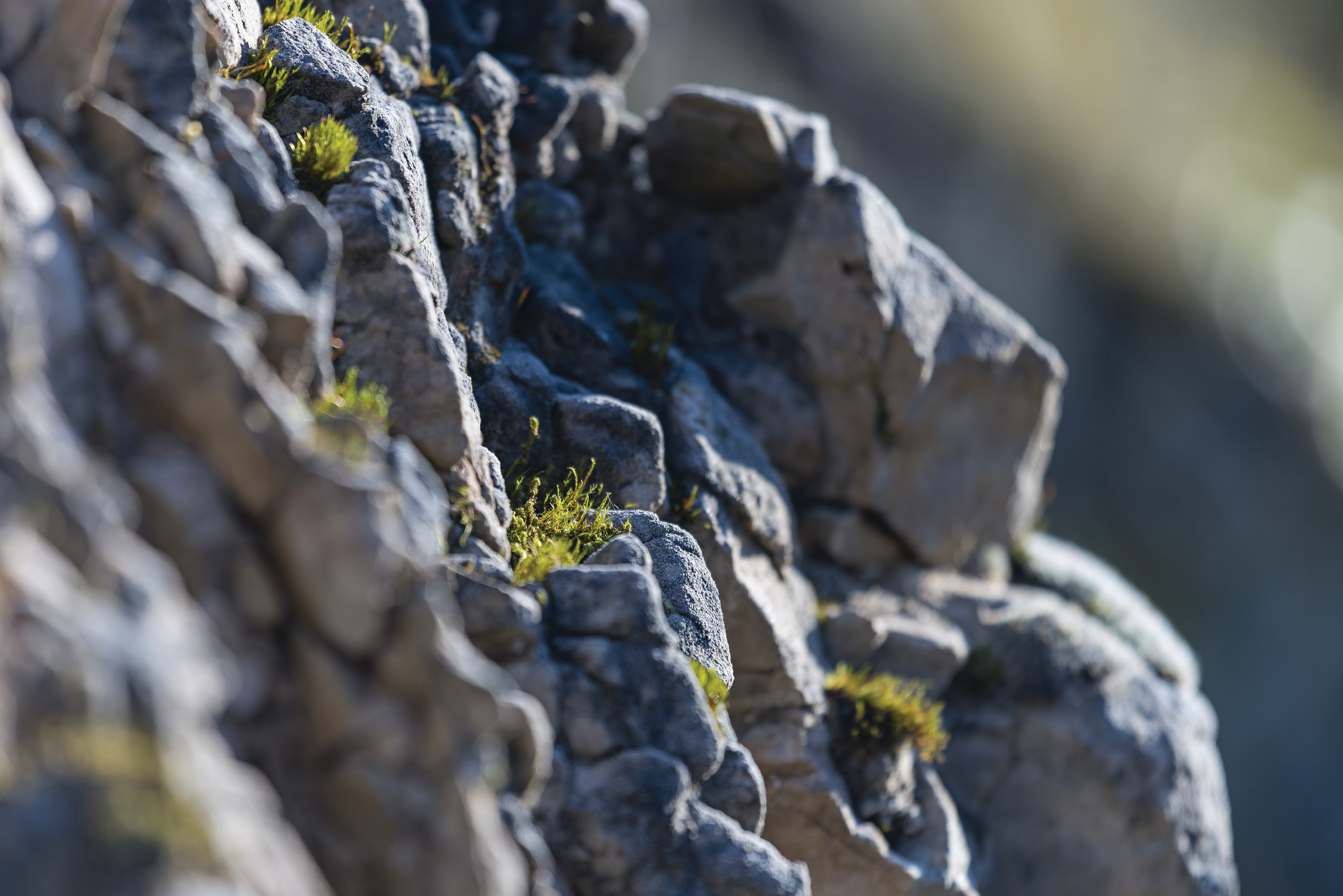 AV_instit_environnement_avene2©studiochevojon