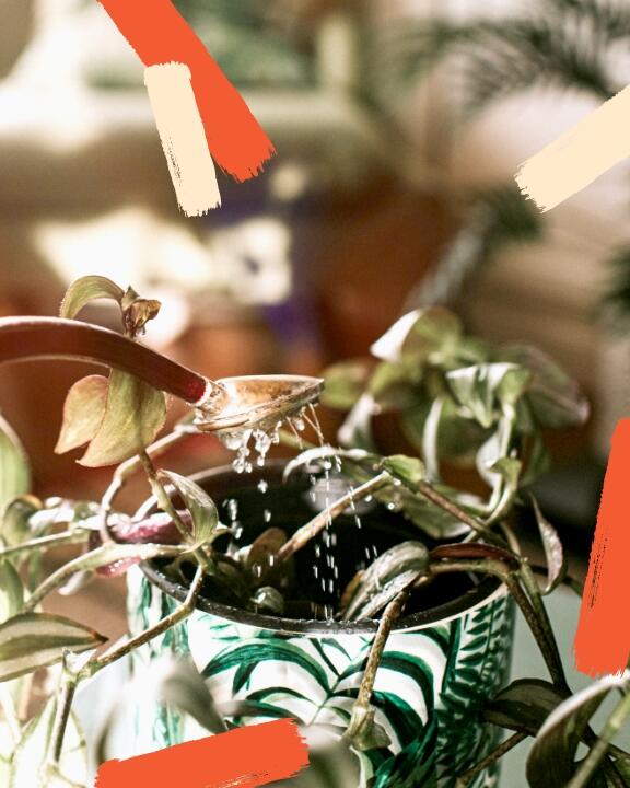 Suspendre vos plantes, rien de plus facile!