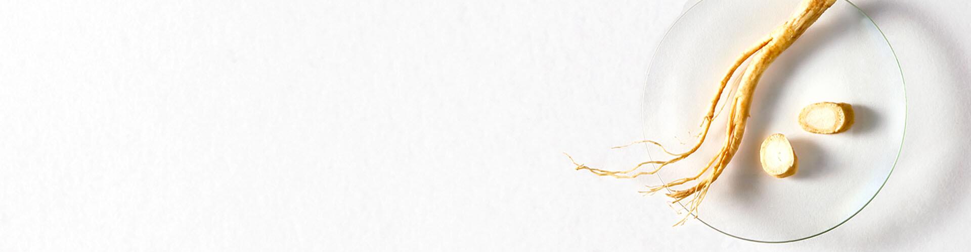 rf_actif_ginseng_blanc_banner_website