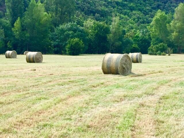 AV_instit-mowing-avene-park-parcel-ld