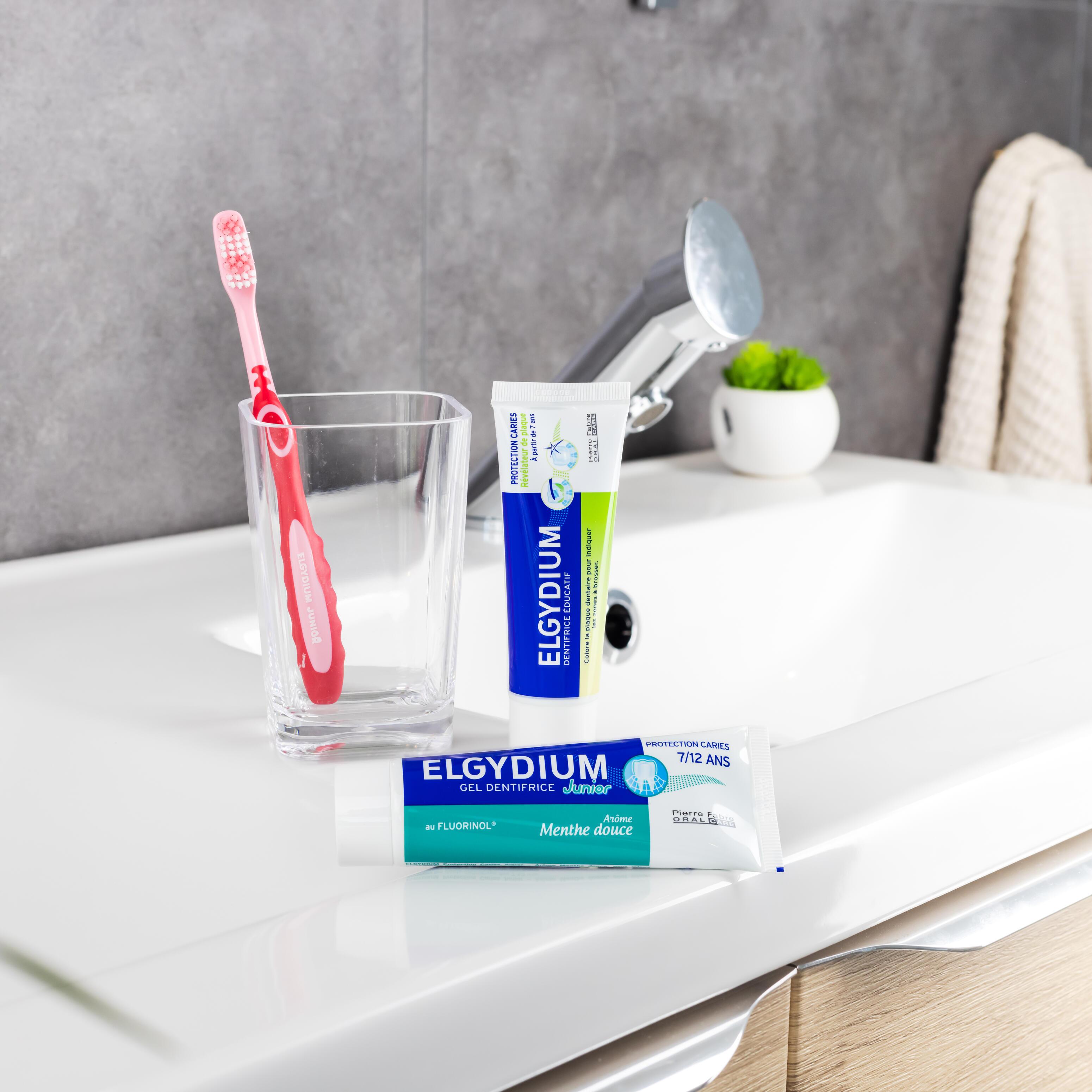 A minha rotina júnior