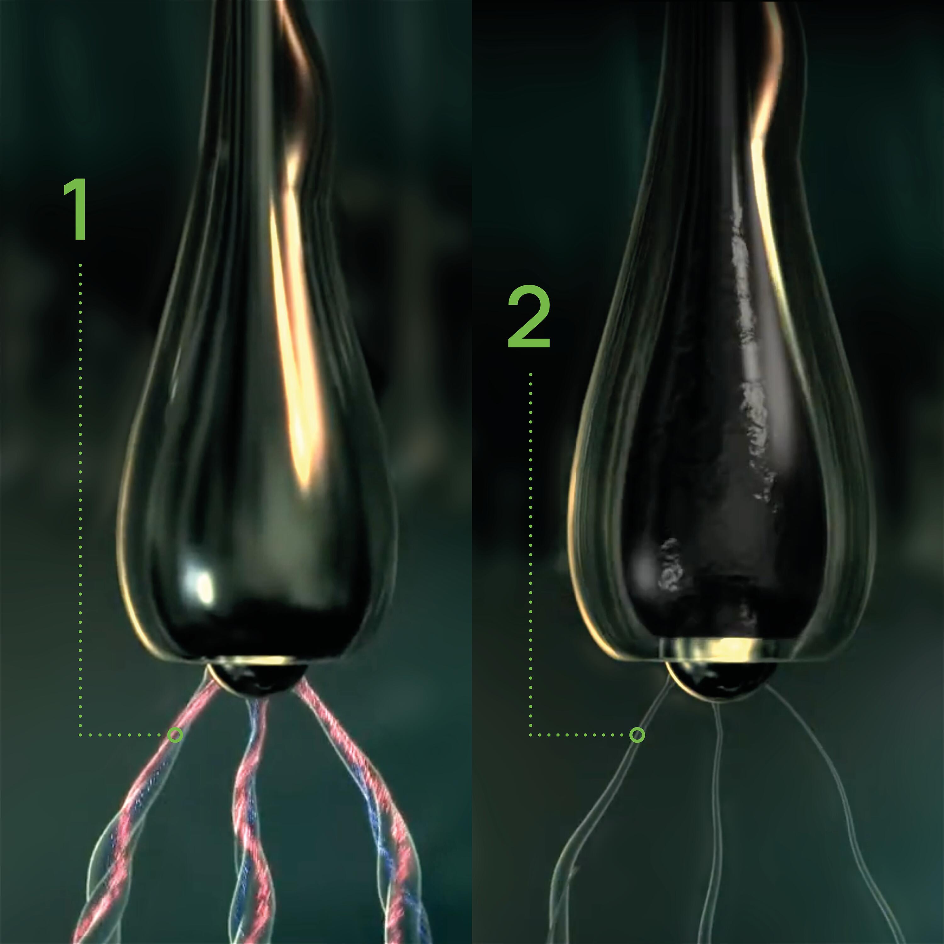 RF_Triphasic_Vascularisation-bulbe-capillaire_Website__24-jpg