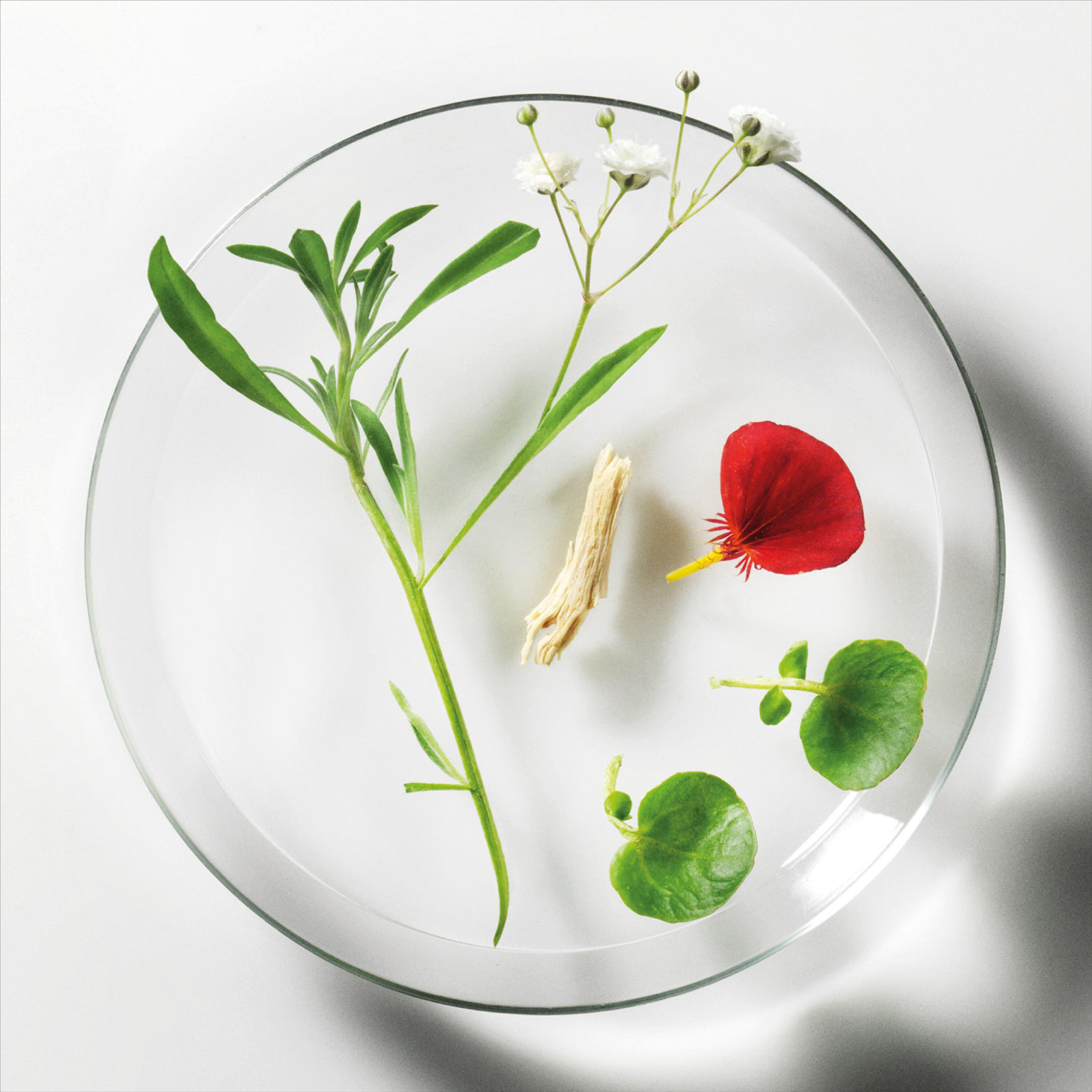 Biotrinin: a 360° active ingredient