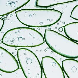 Polysaccharides d'aloe