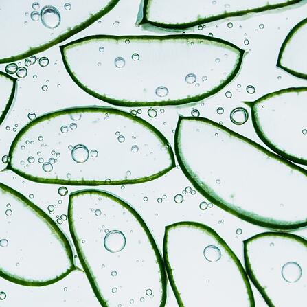 AV_Aloe_Vera_Hydrance